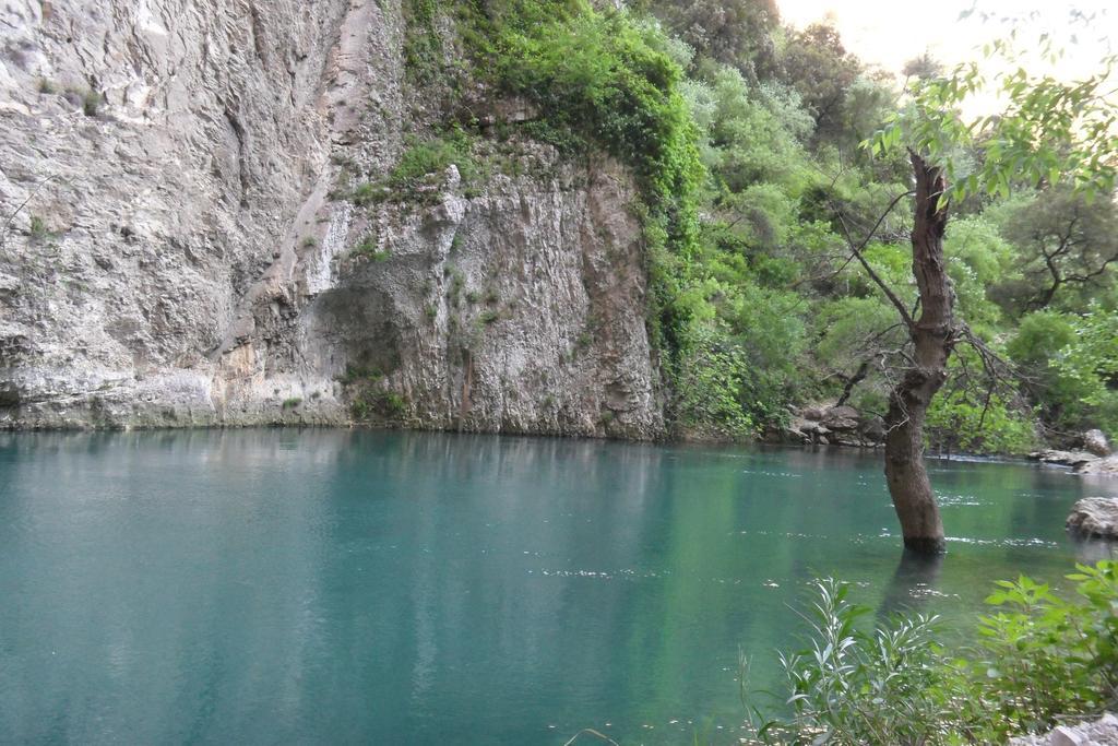 Bastide De La Lezardiere Fontaine-de-Vaucluse Dış mekan fotoğraf